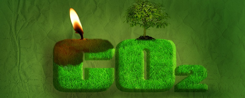 二氧化碳的性质 二氧化碳的性质是什么(图1)