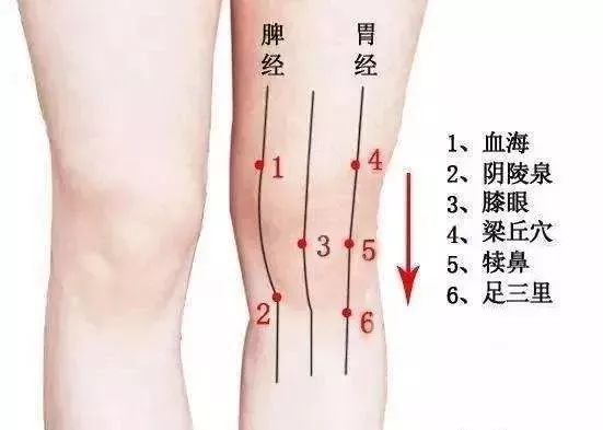 好物 秋冬续命神器！用它膝盖暖呼呼整个人都舒服了(图8)
