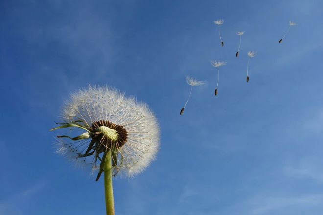 老祖宗说“男占三八必发女占三八必寡”指的是什么呢？(图2)