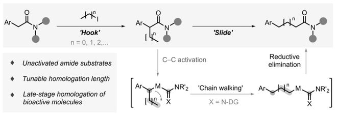 董广彬课题组Science：铑催化酰胺的“可调控”同系化反应(图1)