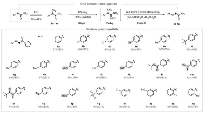 董广彬课题组Science：铑催化酰胺的“可调控”同系化反应(图4)
