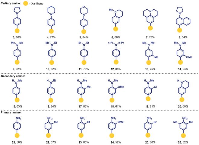 国家纳米科学中心唐智勇、中科院理化所吴骊珠：光电催化芳胺衍生物的区域选择性活化(图3)