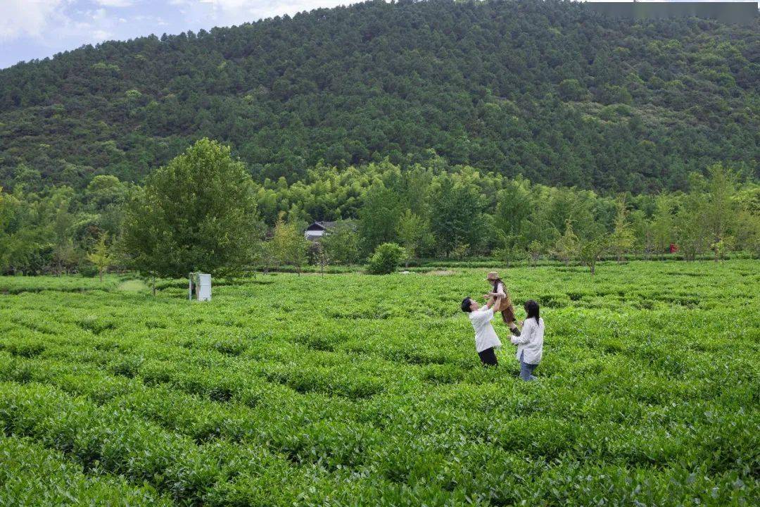 苏州城外的卢浮宫 苏州洛嘉部落(图19)