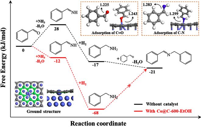 东南大学马隆龙课题组Chem Catal：石墨碳层中双空穴锚定钴原子的催化剂制备策略及其应用于胺合成研究(图5)