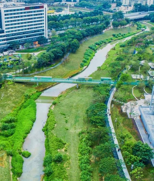 品读龙岗∣当低碳成为一种生活美学(图6)