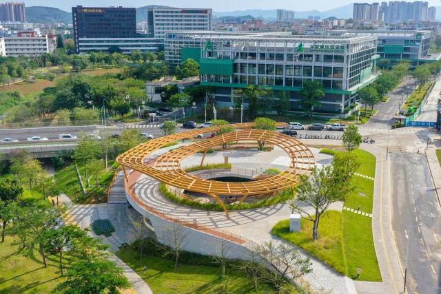 品读龙岗∣当低碳成为一种生活美学(图13)