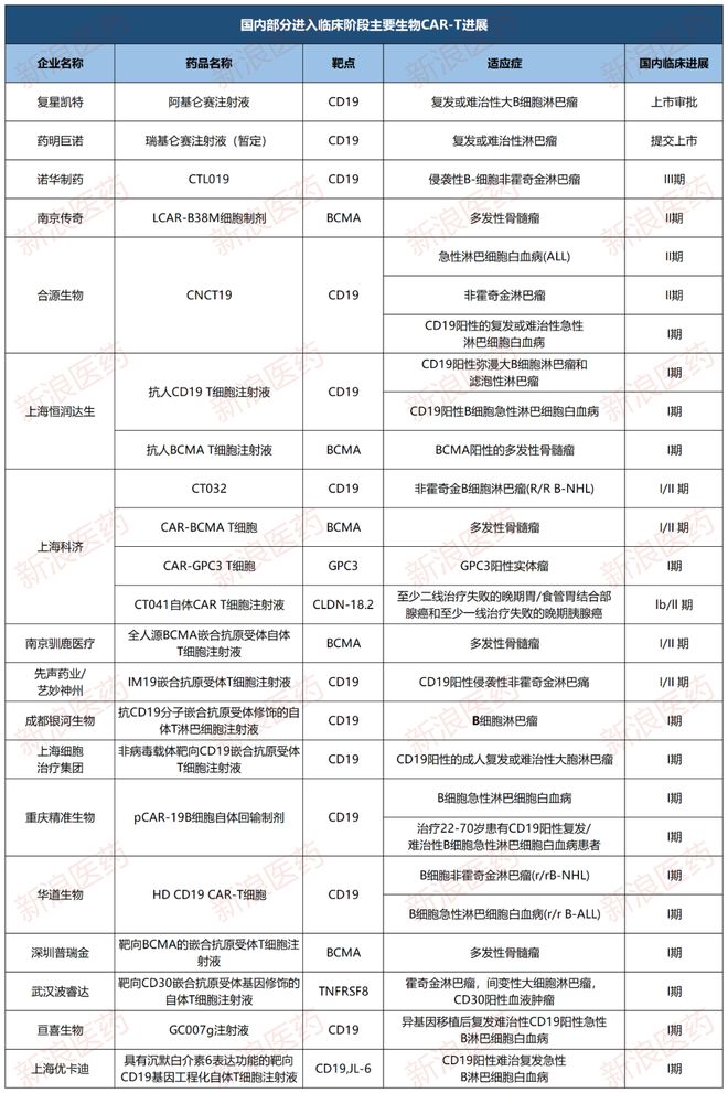 细胞疗法开启中国商业化时代爆款加持永泰生物再次领跑？(图1)