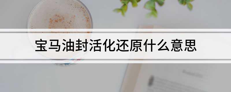 宝马油封活化还原什么意思(图1)